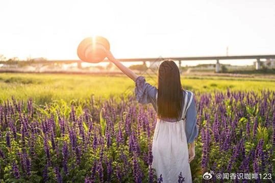 时醉