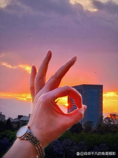 羊不知