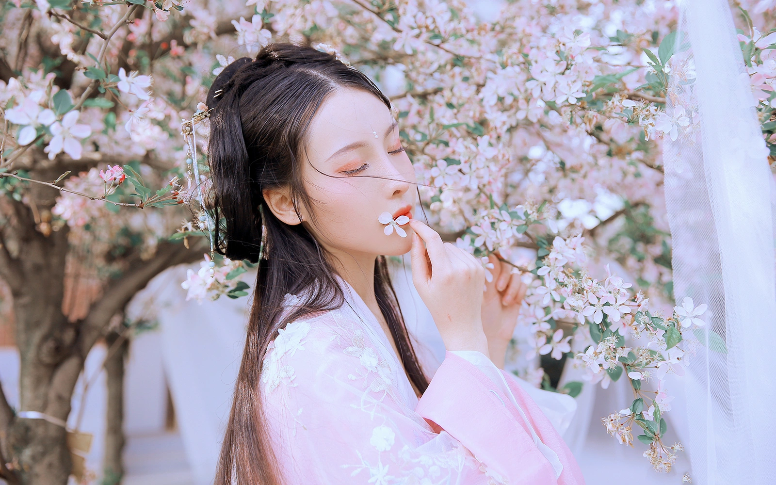 JQ万年坑