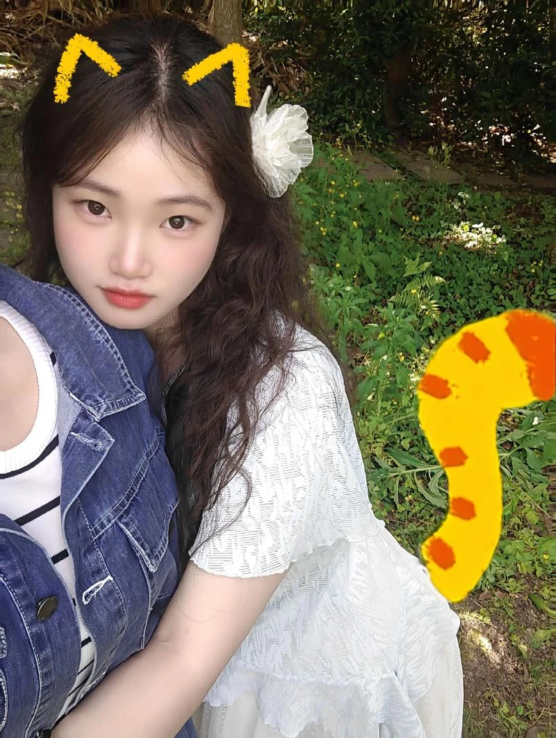 星衔