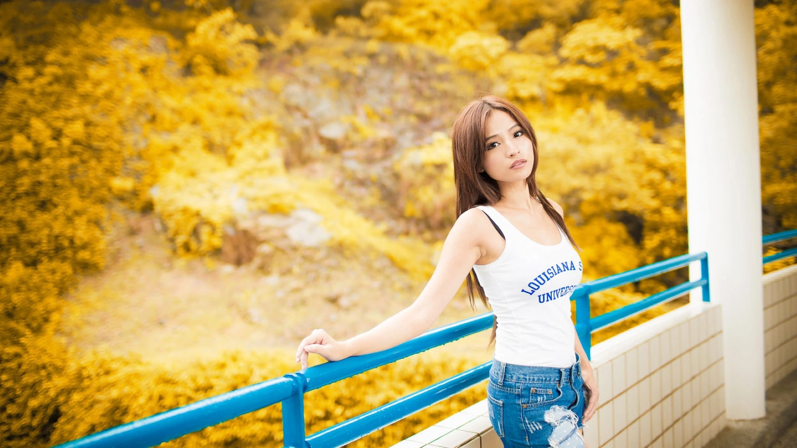 爱莲说