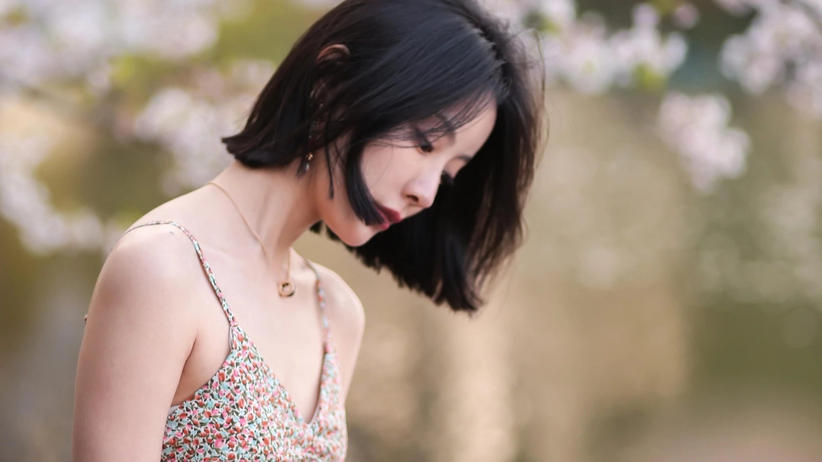 杉木乔