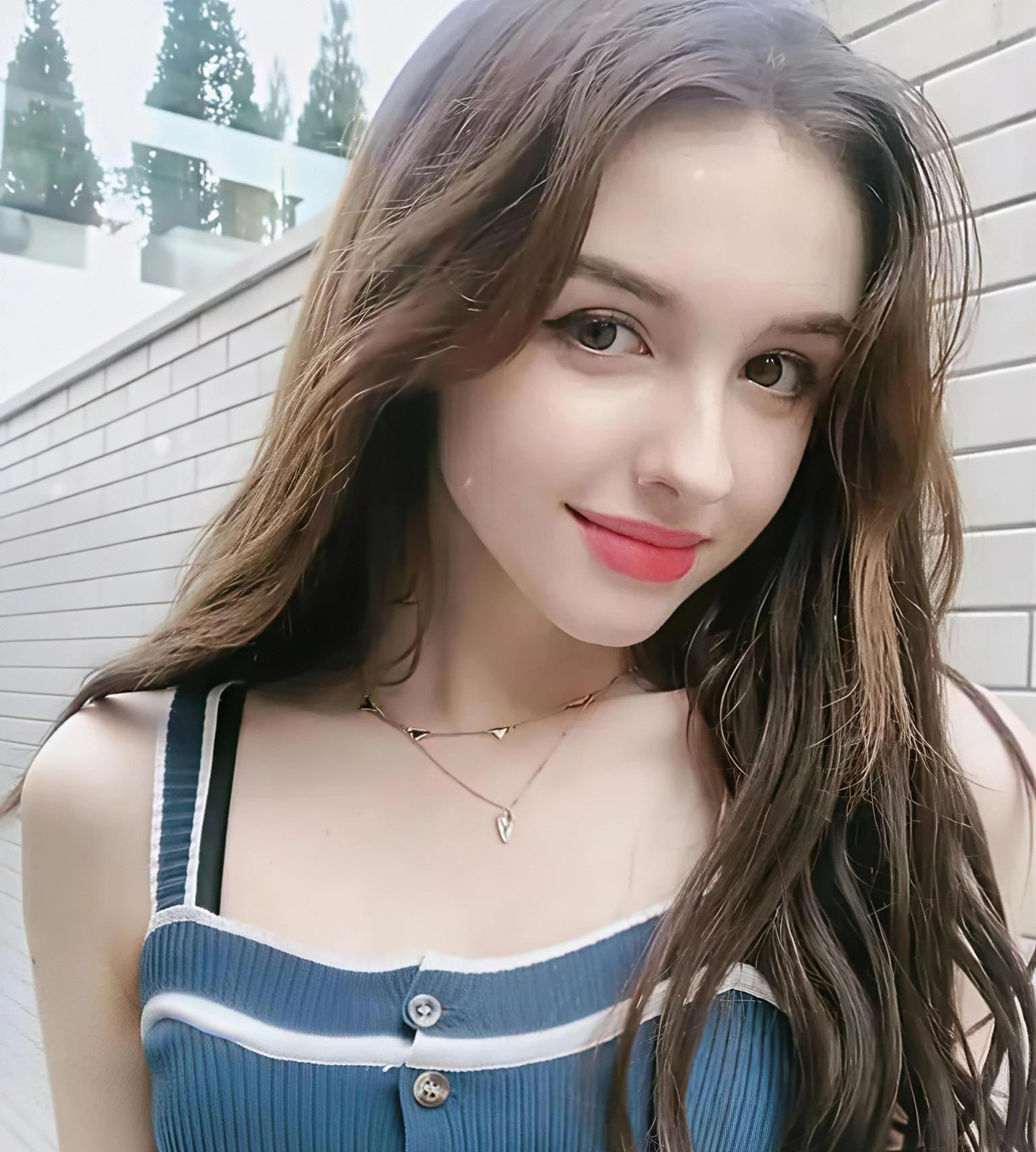 一树菩提