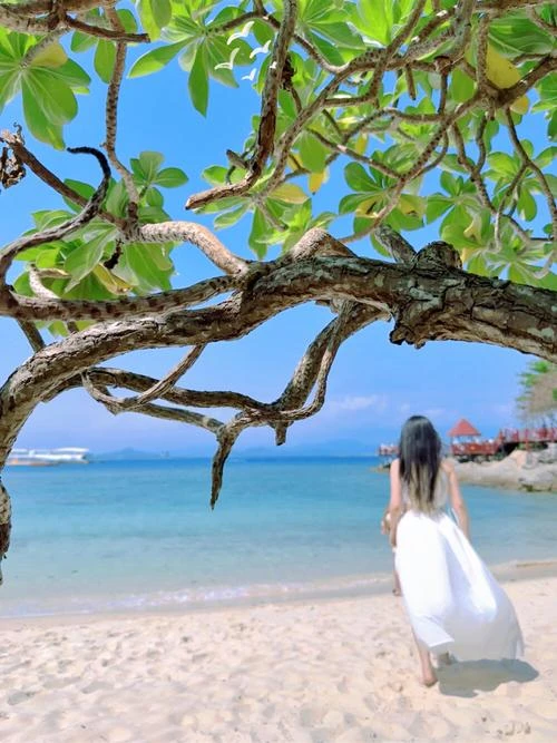 浩然天风