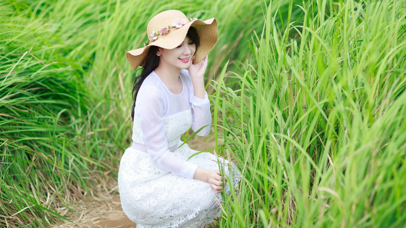 木已成洲