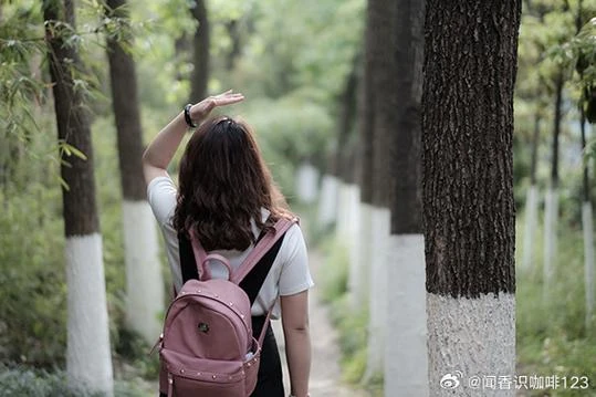哈利波特6-哈利波特6到底好不好看？豆瓣几分值得熬夜刷吗
