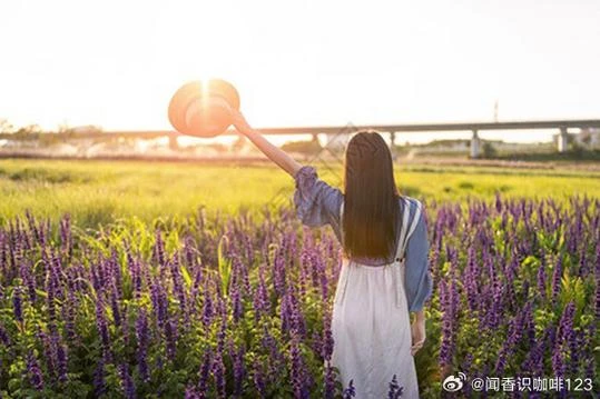 你微笑时很美全集-你微笑时很美全集熬夜刷完，真实口碑怎么样？