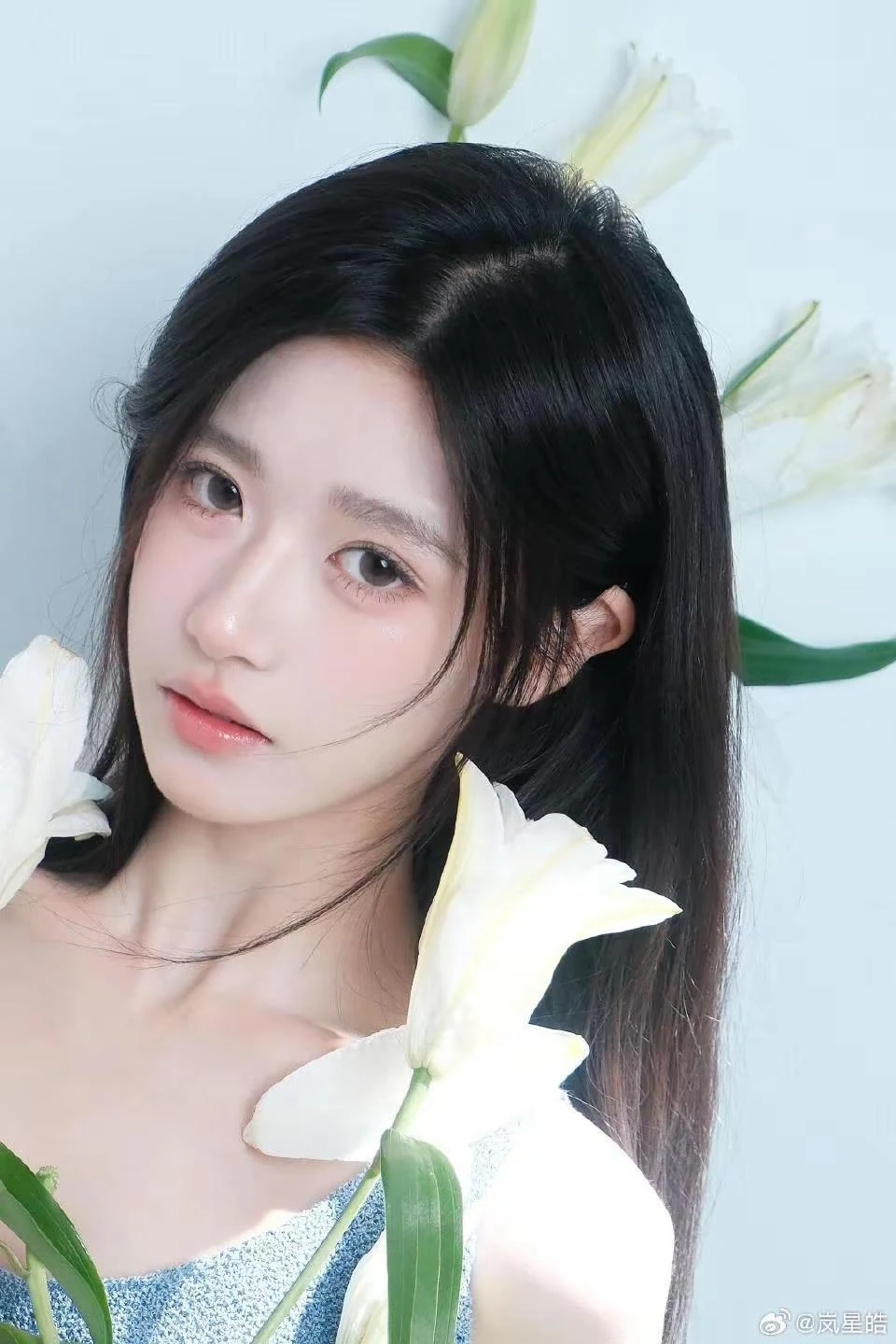 追剧党必看 海洋题材新剧剧情盘点