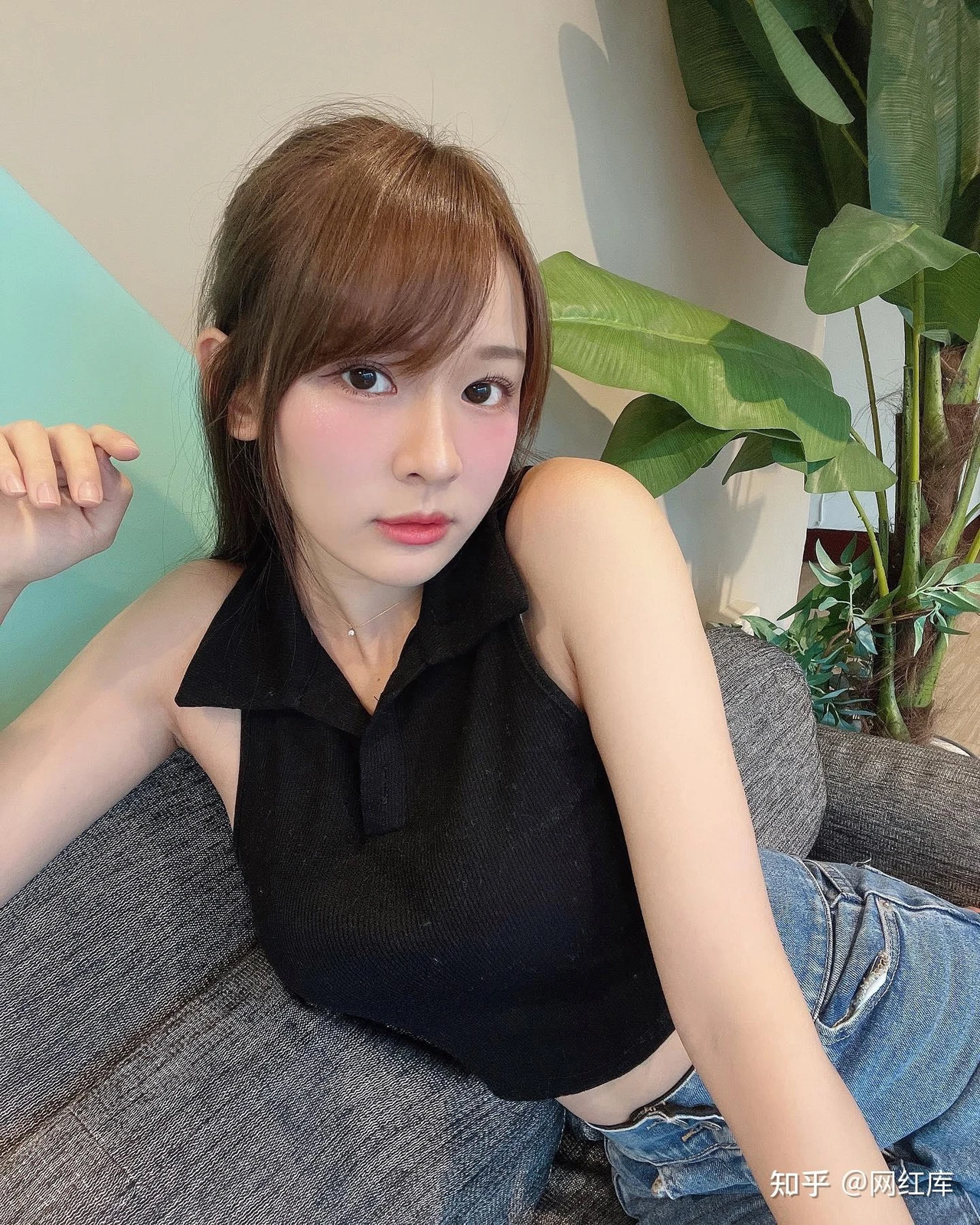 岫青晓白