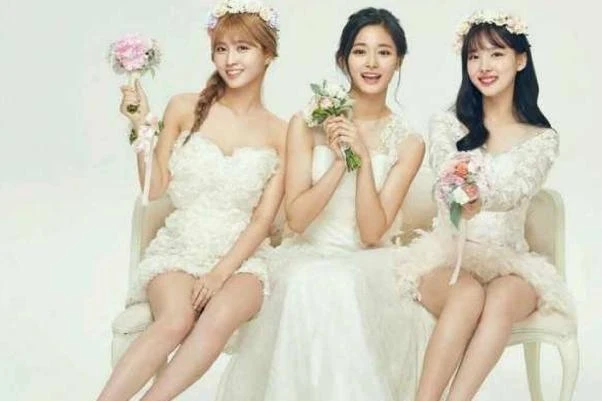 芒果TV热播剧TOP10你追了几部？